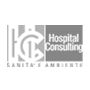 Hospital Consulting